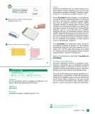 Miniatura página 99 de Sumo Primero – Cuarto Básico | Texto del Estudiante MINEDUC – Descargar PDF · 2024