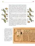 Miniatura página 292 de Colección Nanahuatzin. Lenguajes.   Libro de Educación Secundaria Grado 3°  Ciclo Escolar 2025 - 2026