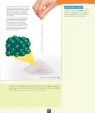 Miniatura página 112 de Ciencias Naturales – Octavo Básico | Texto del Estudiante MINEDUC – Descargar PDF · 2024
