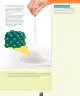 Miniatura página 112 de Ciencias Naturales – Octavo Básico | Texto del Estudiante MINEDUC – Descargar PDF · 2024