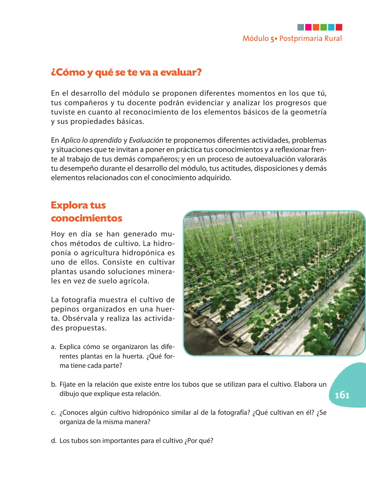 Miniatura página 162 de Matematica 6° · Postprimaria