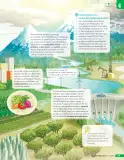 Miniatura página 84 de Libro de Ciencias Naturales – Quinto Básico | Texto del Estudiante MINEDUC – Descargar PDF · 2024