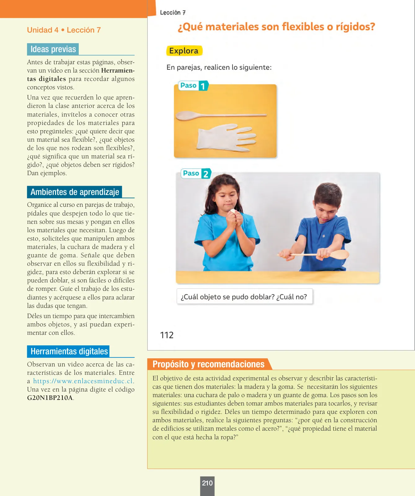 Miniatura página 19 de Ciencias Naturales – Primero Básico | Texto del Estudiante (MINEDUC) – Descargar PDF · 2024