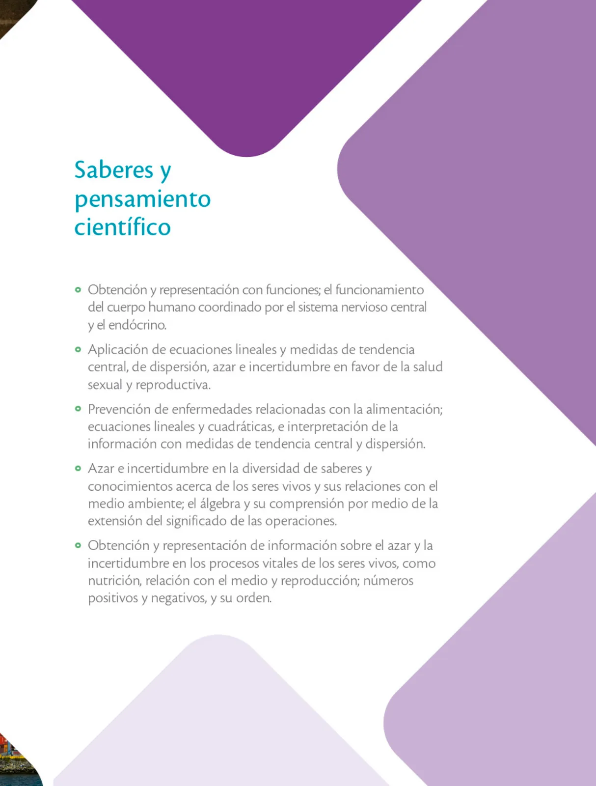 Página 116 de Colección Ximhai. Nuestro libro de Proyectos. Tomo I. Libro de Educación Telesecundaria Grado 1° Ciclo Escolar 2025 - 2026