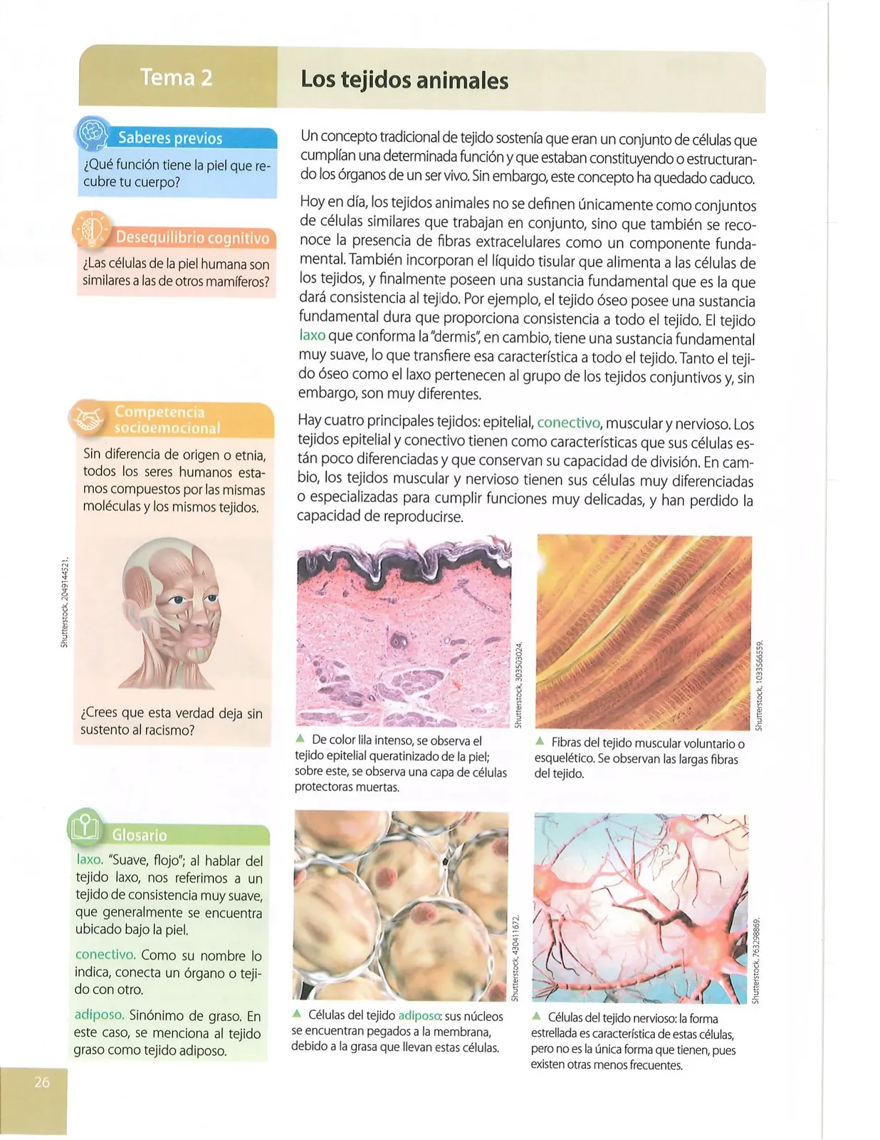 Miniatura página 23 de Ciencias Naturales · 10 EGB · 2024