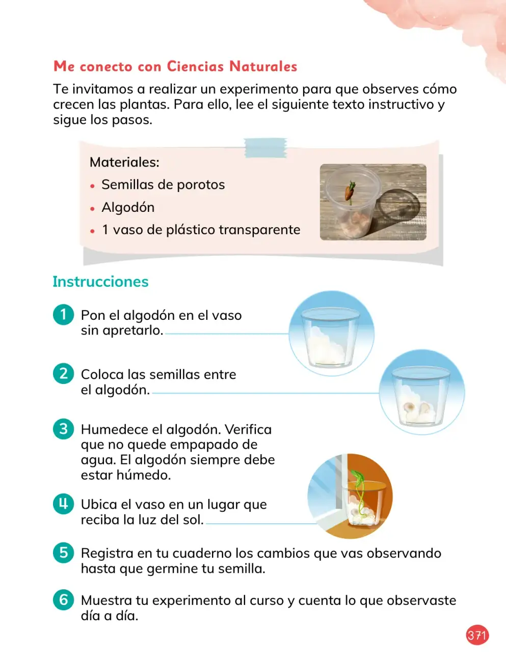 Página 101
