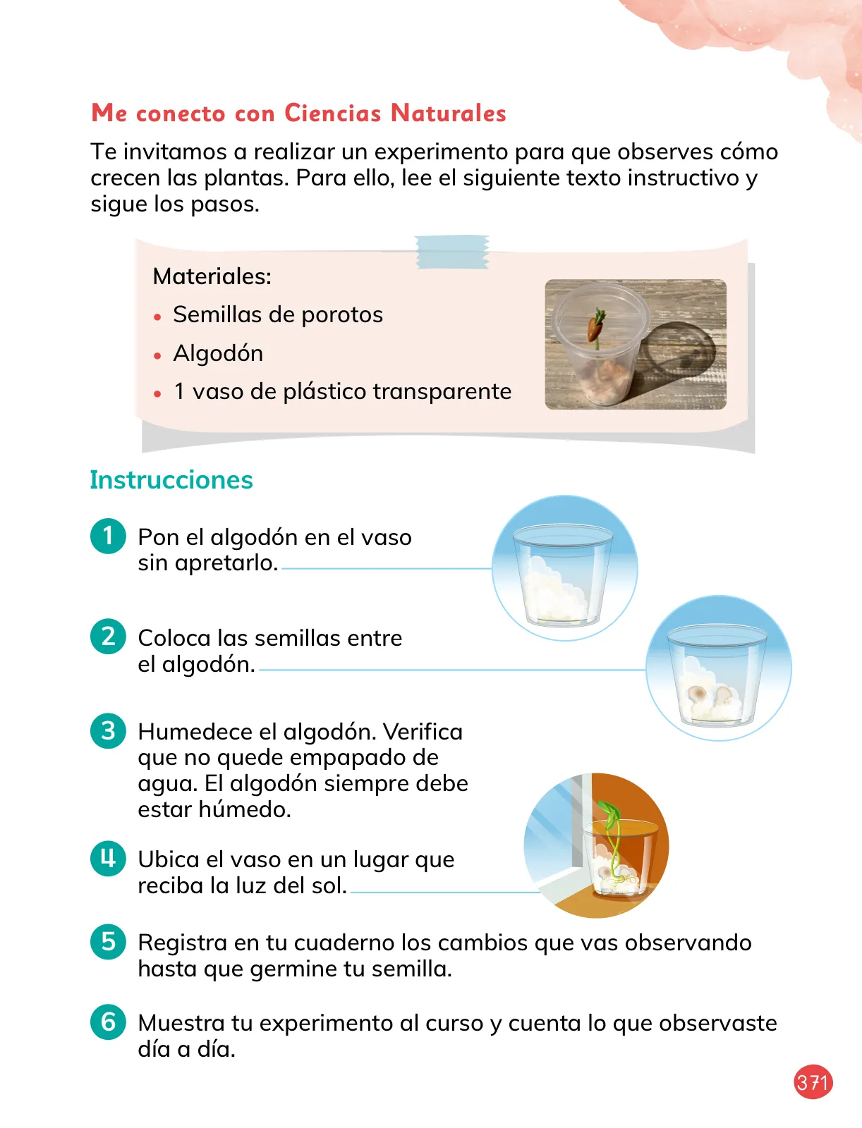 Miniatura página 101 de Lenguaje y Comunicación – Primero Básico | Texto del Estudiante MINEDUC – Descargar PDF · 2024
