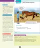 Miniatura página 135 de Ciencias Naturales – Primero Básico | Texto del Estudiante (MINEDUC) – Descargar PDF · 2024