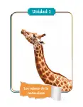 Pág 7