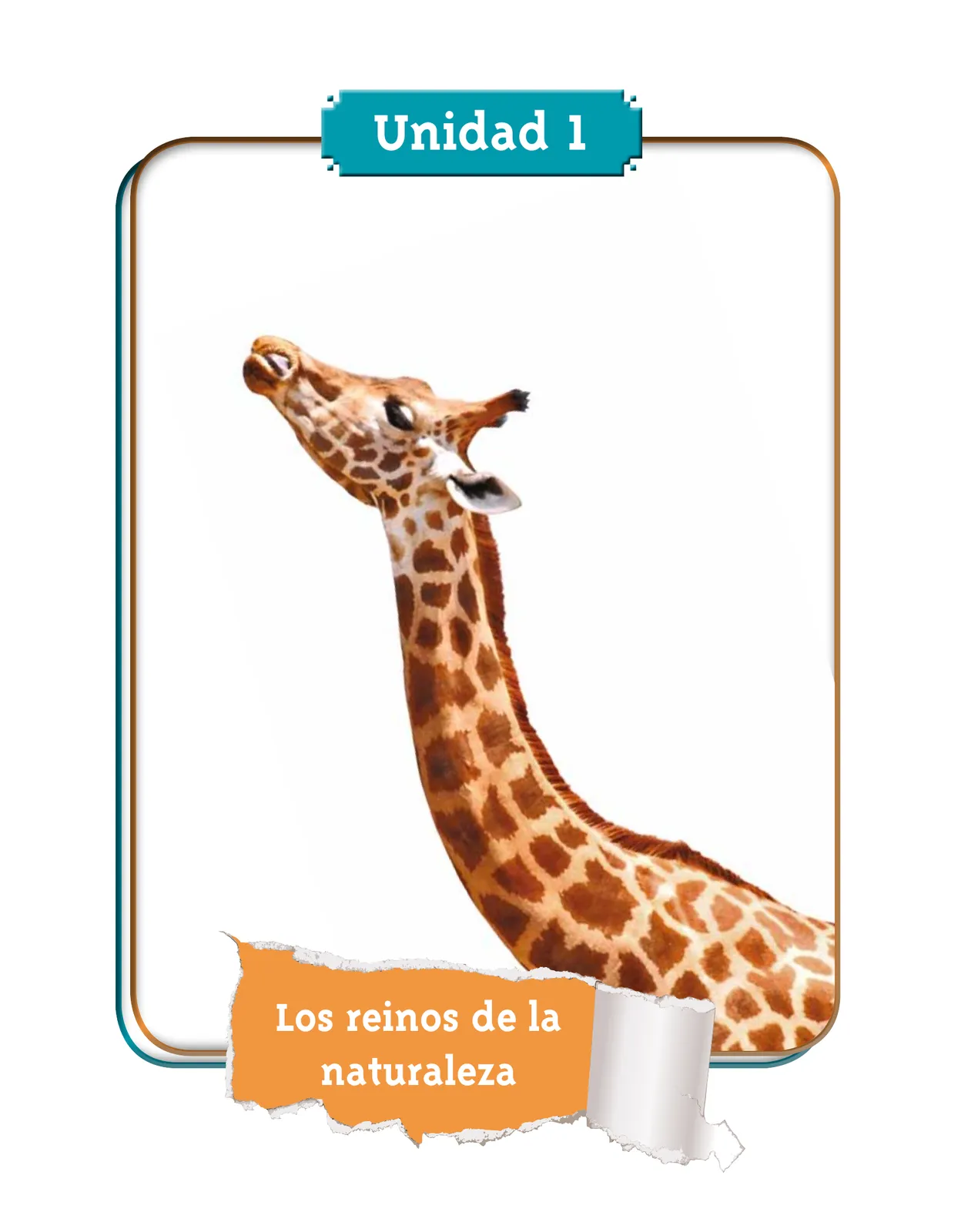 Página 7