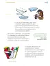 Miniatura página 262 de Proyectos Comunitarios.   Libro de Educación Primaria Grado 2°  Ciclo Escolar 2025 - 2026