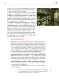 Miniatura página 278 de Colección Ximhai. Ética, naturaleza y sociedades.   Libro de Educación Secundaria Grado 1°  Ciclo Escolar 2025 - 2026