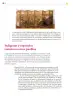 Miniatura página 37 de Colección Sk´asolil. Ética, naturaleza y sociedades.   Libro de Educación Secundaria Grado 2°  Ciclo Escolar 2025 - 2026