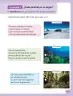 Miniatura página 48 de Ciencias Naturales – Segundo Básico | Texto del Estudiante MINEDUC – Descargar PDF · 2024
