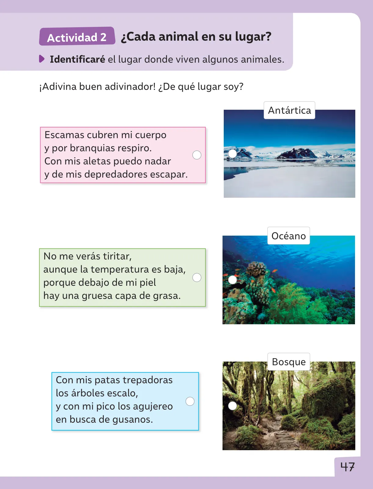 Miniatura página 48 de Ciencias Naturales – Segundo Básico | Texto del Estudiante MINEDUC – Descargar PDF · 2024