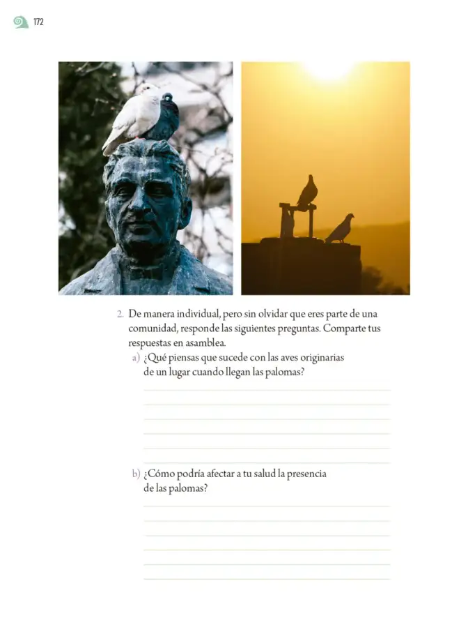 Página 175 de Proyectos de Aula. Libro de Educación Primaria Grado 6° Ciclo Escolar 2025 - 2026