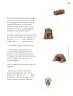 Miniatura página 54 de Múltiples lenguajes. Trazos y palabras.   Libro de Educación Primaria Grado 2°  Ciclo Escolar 2025 - 2026