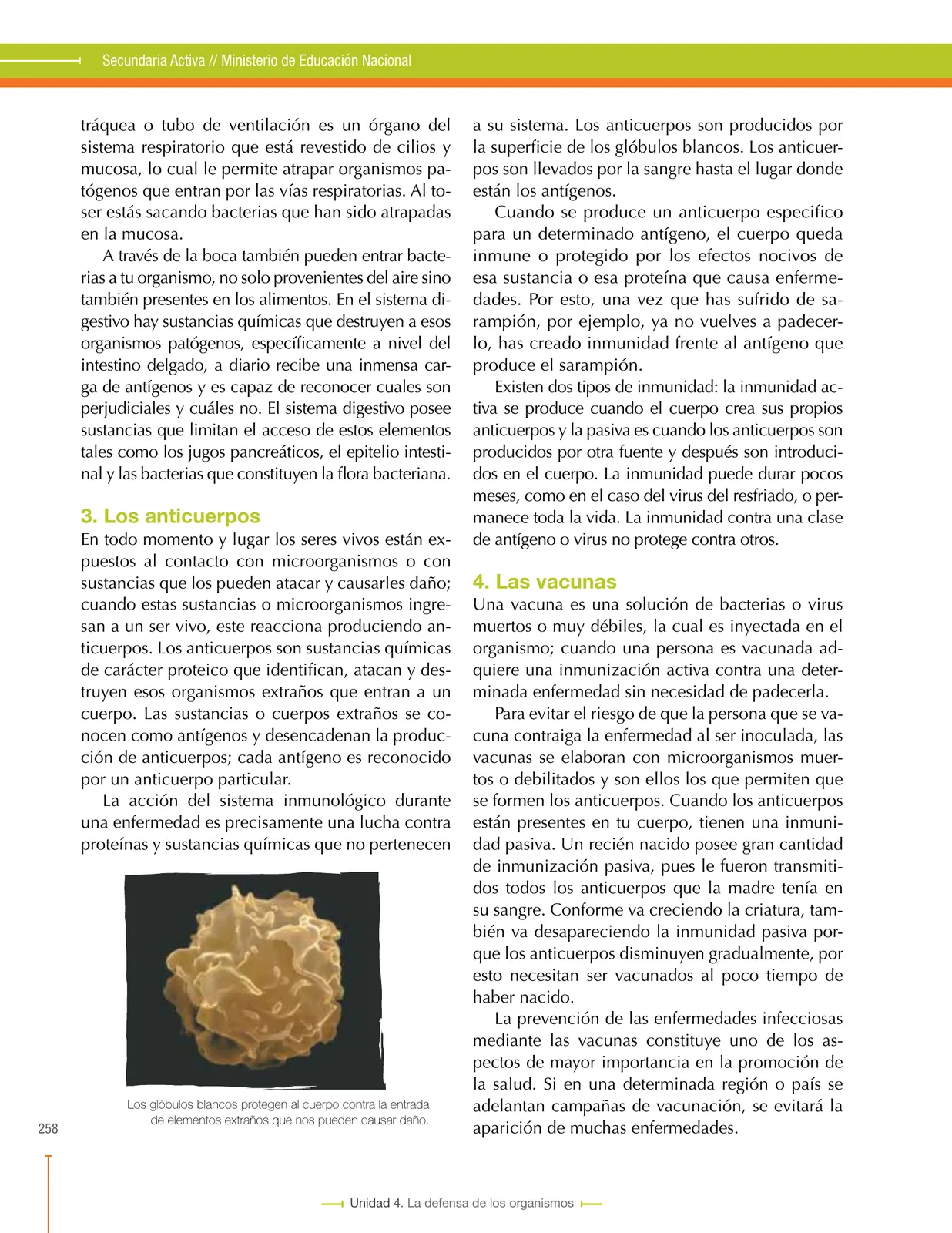 Miniatura página 258 de Ciencias Naturales 8° · Secundaria Activa