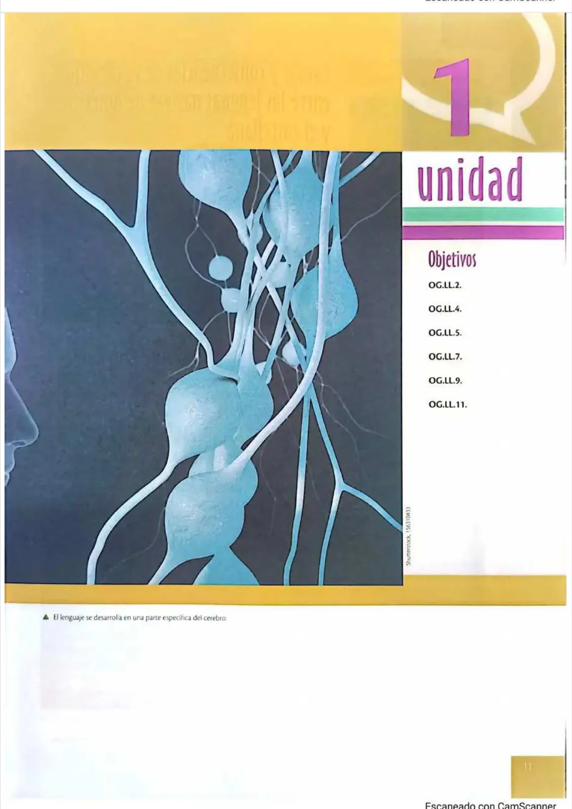 Miniatura página 8 de Lengua y Literatura 1 BGU · 2025