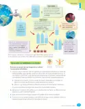 Miniatura página 63 de Libro de Ciencias Naturales – Quinto Básico | Texto del Estudiante MINEDUC – Descargar PDF · 2024