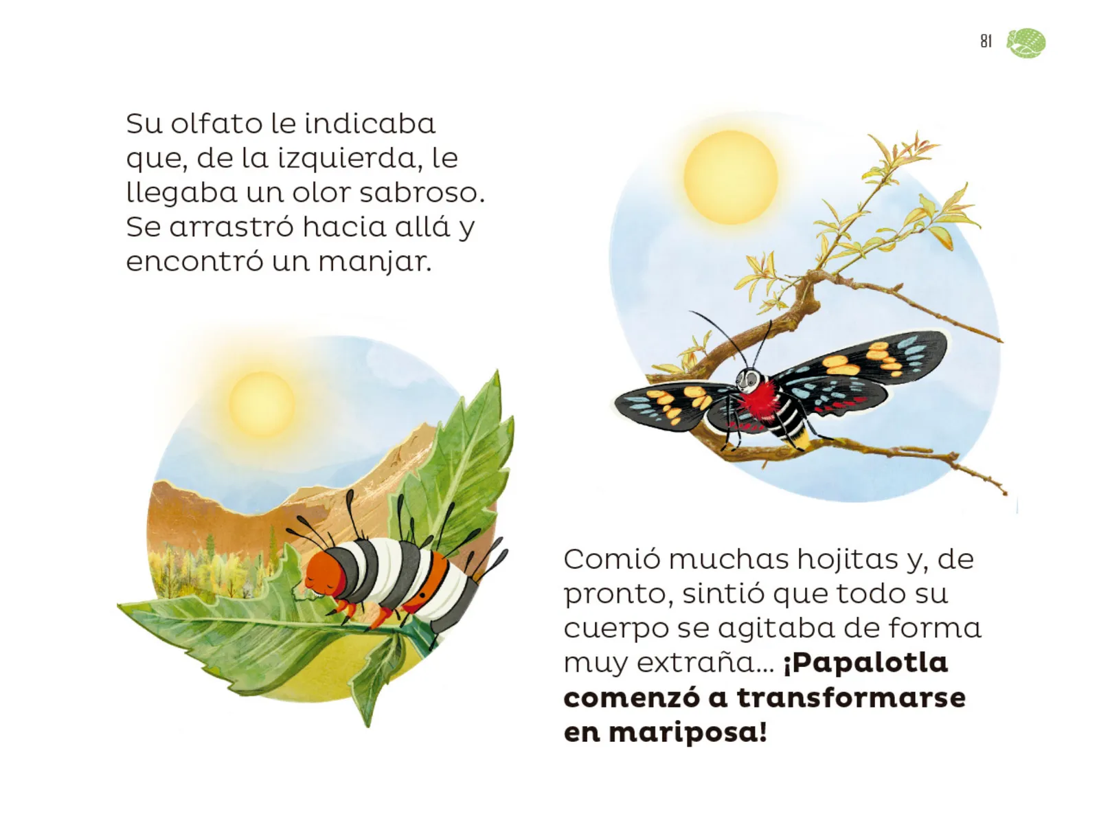 Página 82 de Múltiples lenguajes. Libro de Educación Preescolar Grado 1° Ciclo Escolar 2025 - 2026