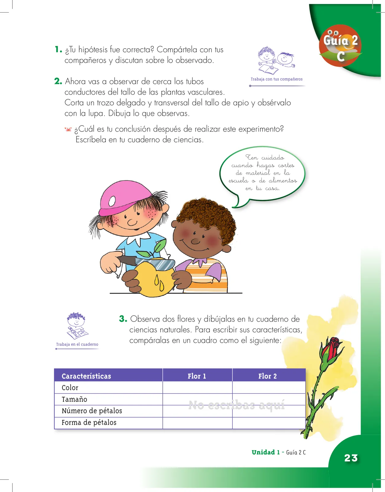 Miniatura página 23 de Ciencias Naturales 3° · Cartilla 01