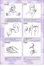 Miniatura página 203 de Lengua de señas peruana : guía para el aprendizaje de la lengua de señas peruana, vocabulario básico · 2015