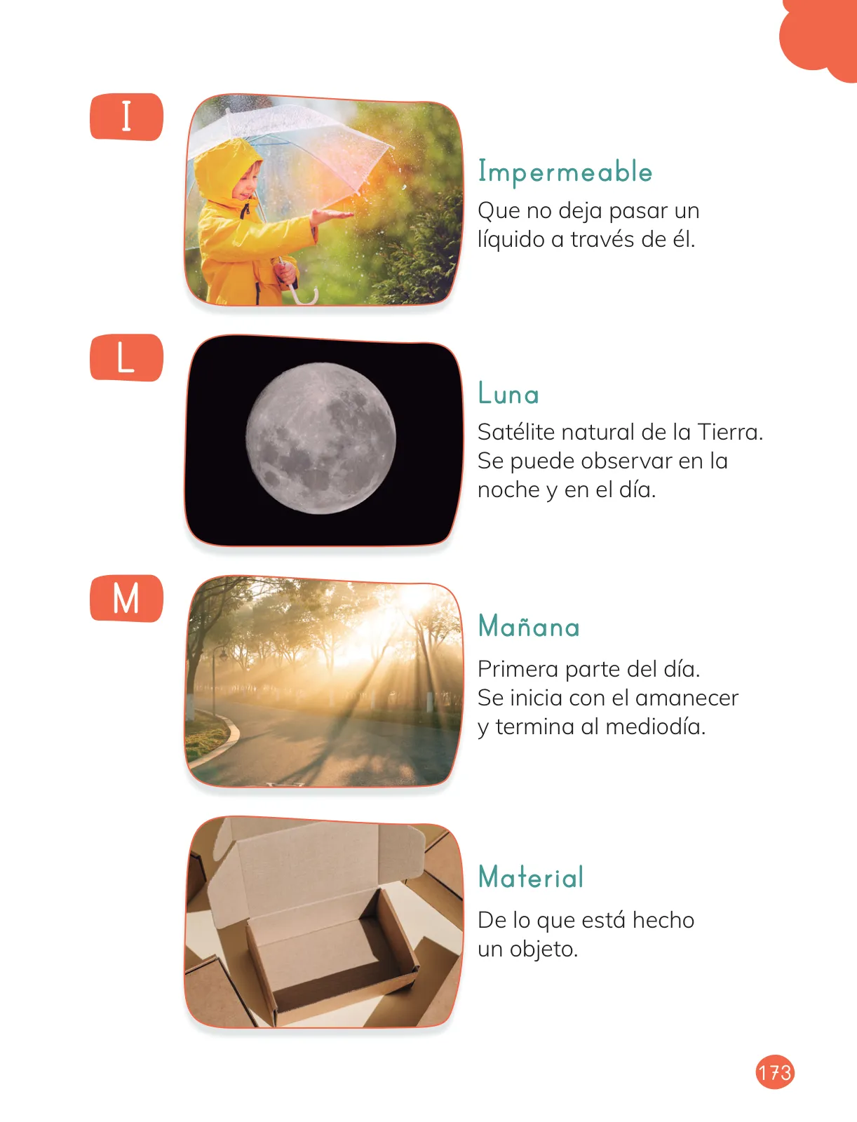 Página 175 de Ciencias Naturales – Primero Básico | Texto del Estudiante (MINEDUC) – Descargar PDF · 2024