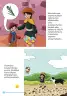 Miniatura página 9 de Maychi hampimanta. Historias y relatos 3- Inicial - Quechua chanka · 2023