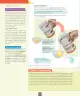 Miniatura página 45 de Ciencias Naturales – Séptimo Básico | Texto del Estudiante MINEDUC – Descargar PDF · 2024