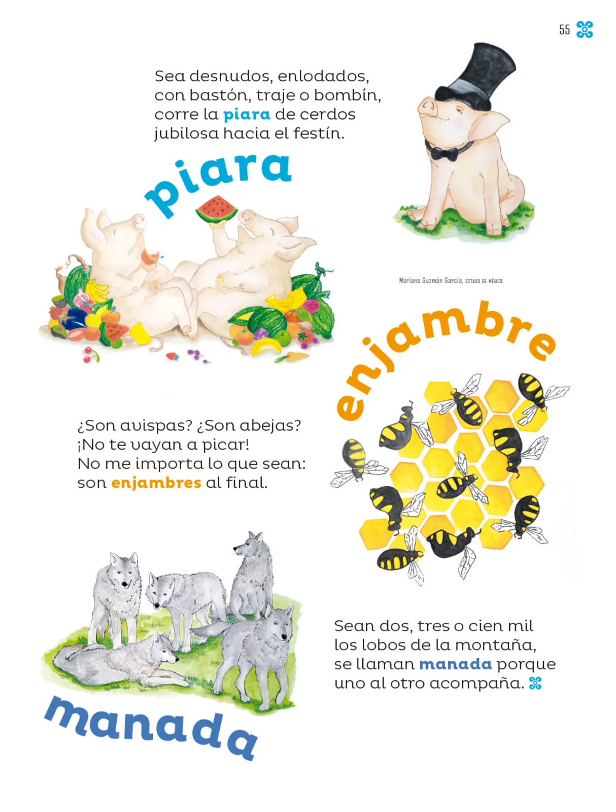 Página 56 de Múltiples lenguajes.   Libro de Educación Primaria Grado 2°  Ciclo Escolar 2025 - 2026