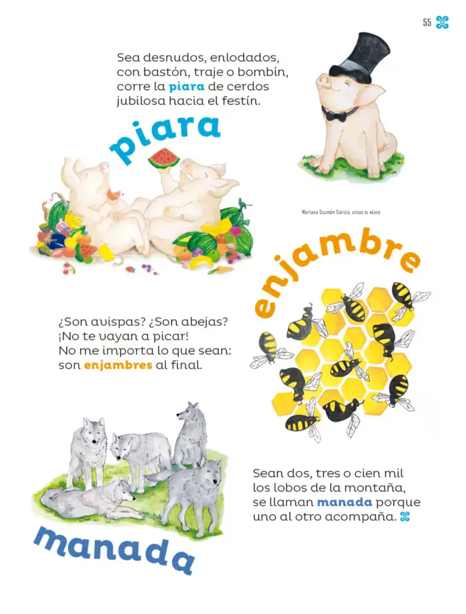 Página 56 de Múltiples lenguajes. Libro de Educación Primaria Grado 2° Ciclo Escolar 2025 - 2026