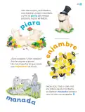 Miniatura página 56 de Múltiples lenguajes.   Libro de Educación Primaria Grado 2°  Ciclo Escolar 2025 - 2026