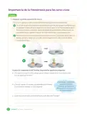 Miniatura página 90 de Libro de Ciencias Naturales – Quinto Básico | Texto del Estudiante MINEDUC – Descargar PDF · 2024