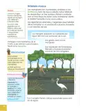 Miniatura página 43 de Ciencias Naturales 2° · Egb 2 Ciencias Naturales 2025 · 2025