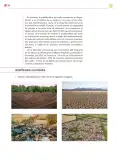 Miniatura página 189 de Colección Ximhai. Nuestro libro de proyectos.   Libro de Educación Secundaria Grado 1°  Ciclo Escolar 2025 - 2026