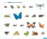 Miniatura página 249 de Aprendemos jugando : cuaderno de trabajo, 4 años · 2016
