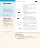 Miniatura página 142 de Lengua y Literatura – Octavo Básico | Texto del Estudiante MINEDUC – Descargar PDF · 2024