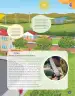 Miniatura página 149 de Libro de Ciencias Naturales – Quinto Básico | Texto del Estudiante MINEDUC – Descargar PDF · 2024