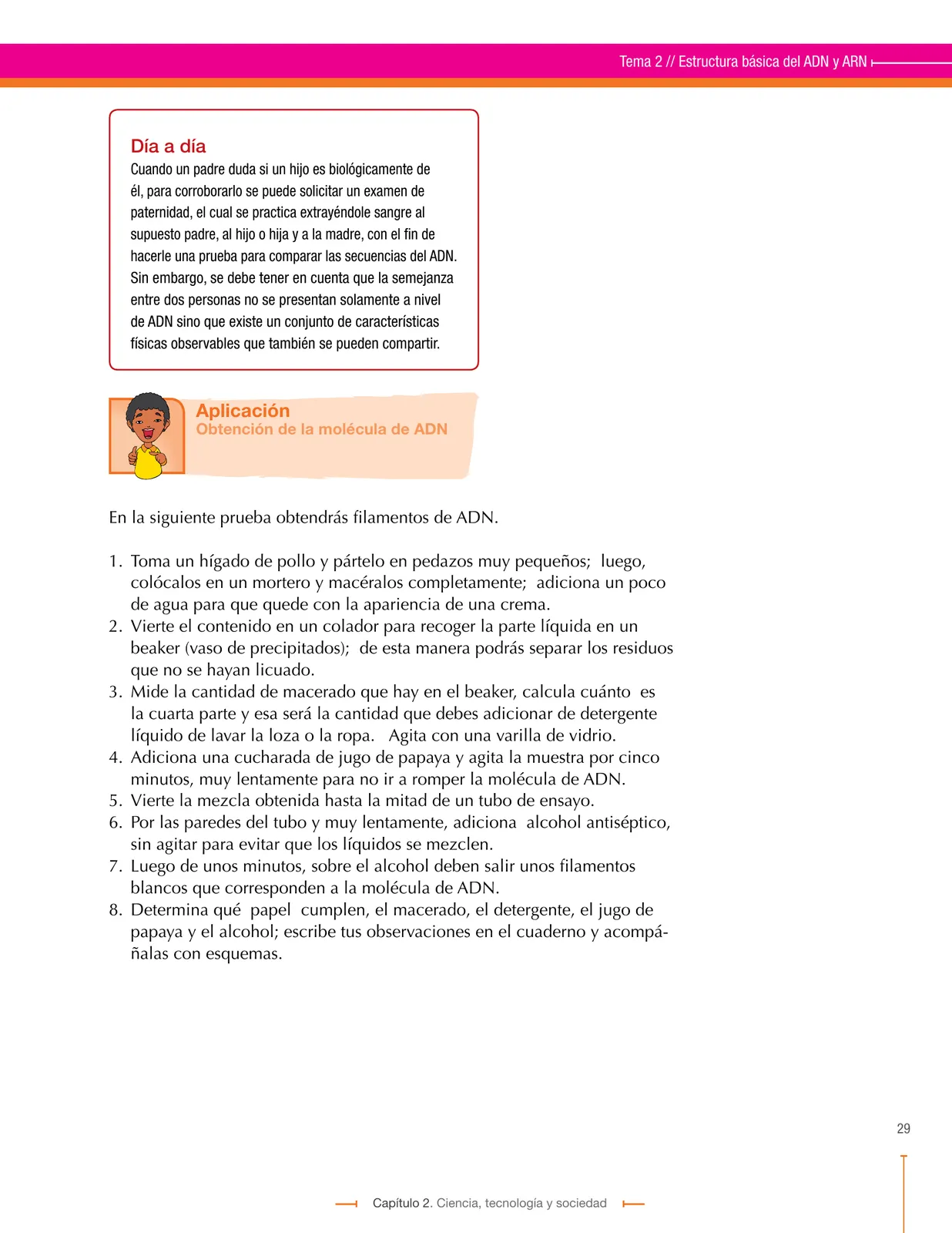 Página 29
