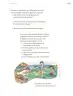Miniatura página 14 de Proyectos de Aula.   Libro de Educación Primaria Grado 5°  Ciclo Escolar 2025 - 2026