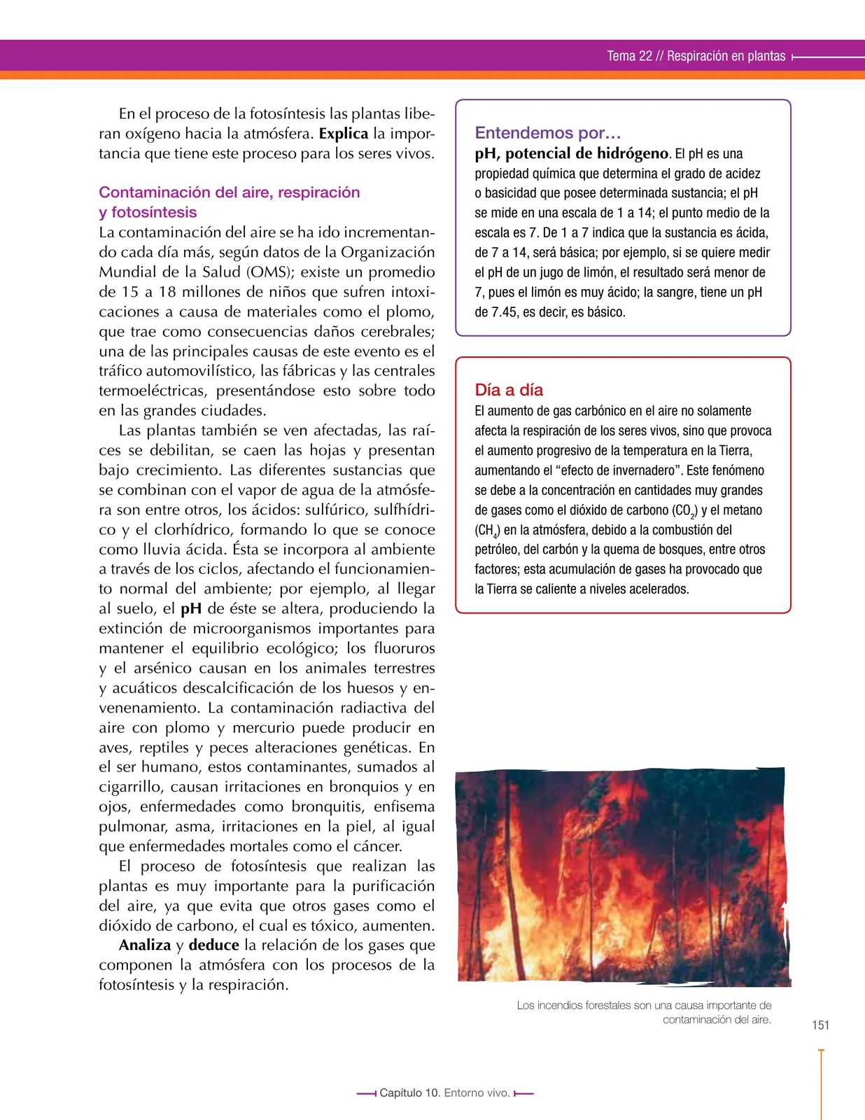 Página 151