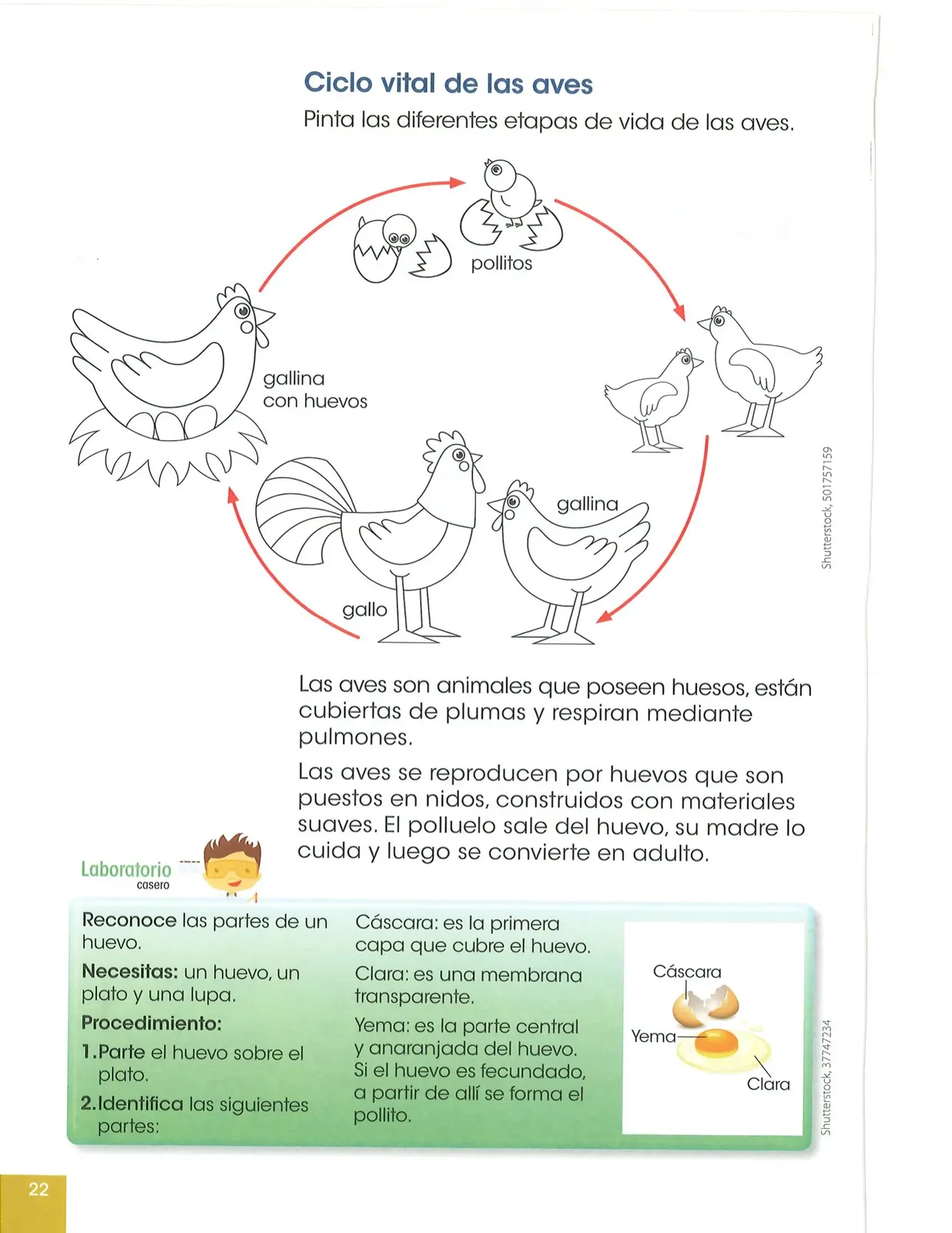 Pág 23