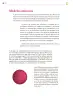 Miniatura página 271 de Colección Sk´asolil. Saberes y pensamiento científico.   Libro de Educación Secundaria Grado 2°  Ciclo Escolar 2025 - 2026