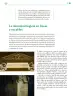 Miniatura página 226 de Colección Ximhai. Lenguajes.   Libro de Educación Telesecundaria Grado 1°  Ciclo Escolar 2025 - 2026