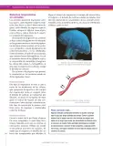 Miniatura página 140 de Ciencias Naturales 7° · Secundaria Activa