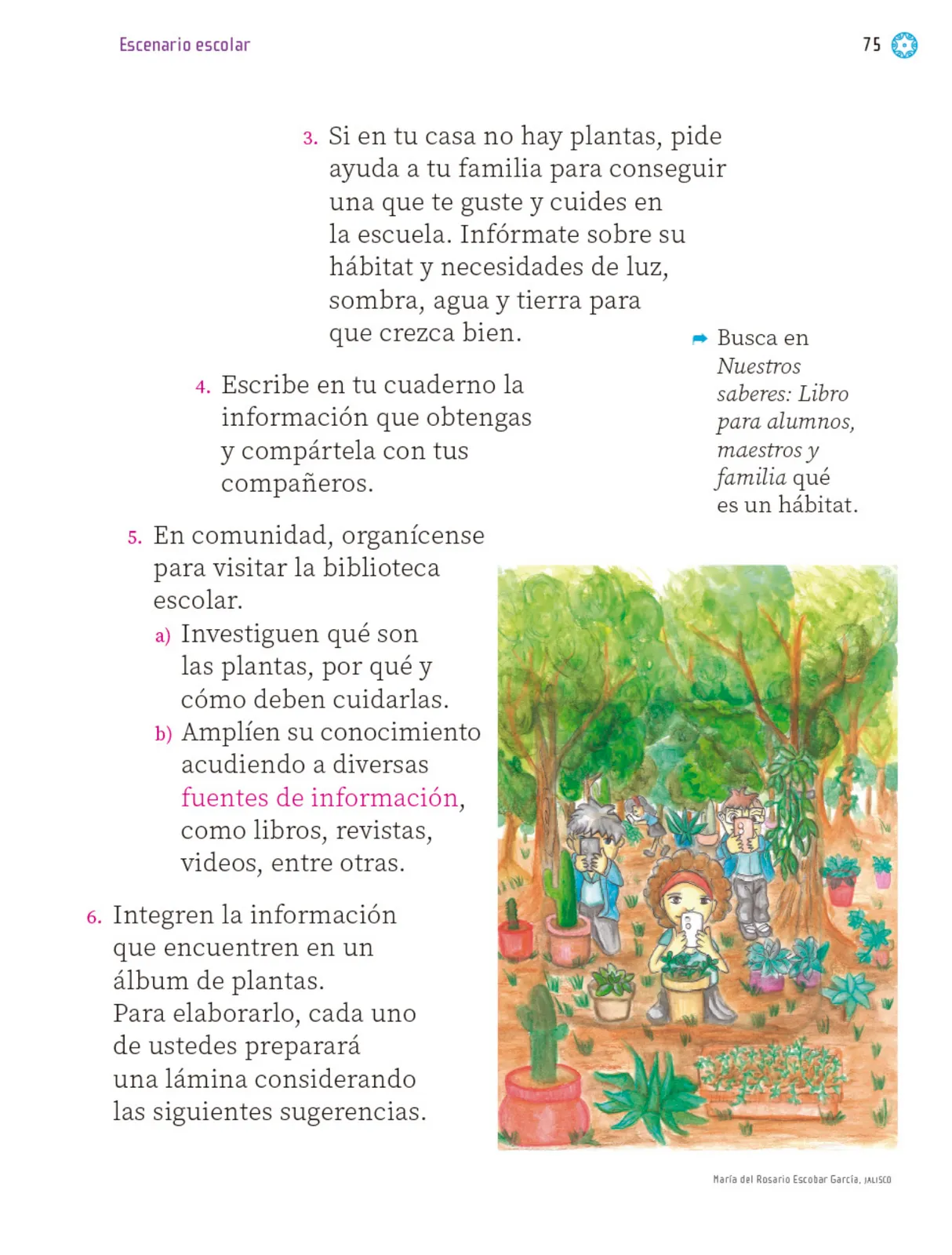 Miniatura página 76 de Proyectos Escolares.   Libro de Educación Primaria Grado 1°  Ciclo Escolar 2025 - 2026