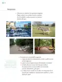 Miniatura página 75 de Proyectos Escolares.   Libro de Educación Primaria Grado 5°  Ciclo Escolar 2025 - 2026