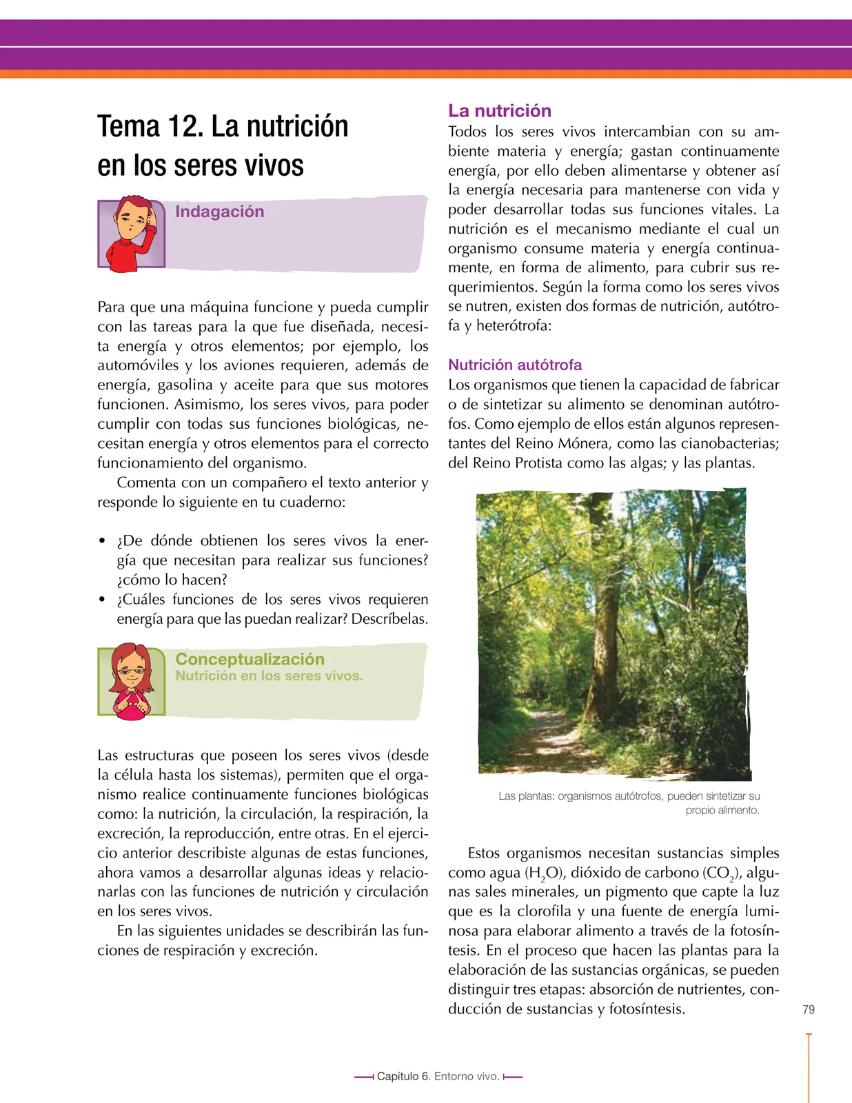 Miniatura página 79 de Ciencias Naturales 7° · Secundaria Activa