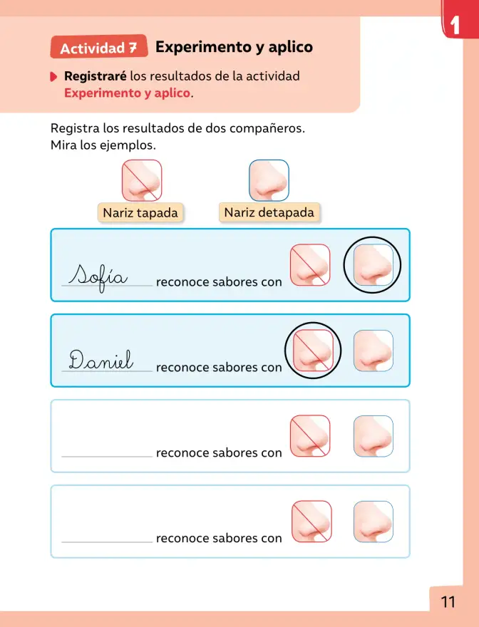 Página 12 de Ciencias Naturales – Primero Básico | Texto del Estudiante (MINEDUC) – Descargar PDF · 2024